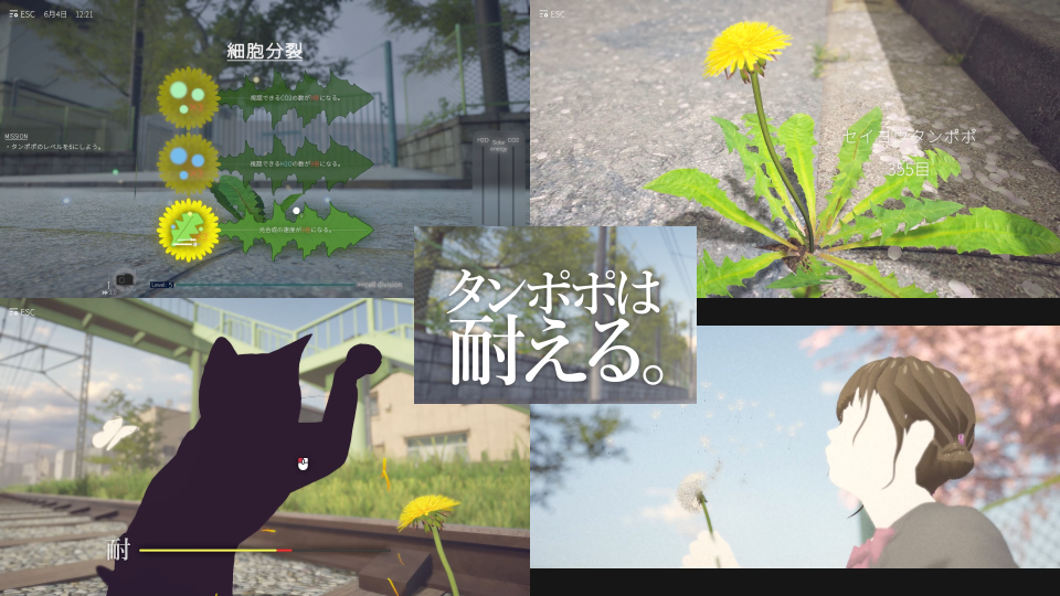 タンポポは耐える。画像