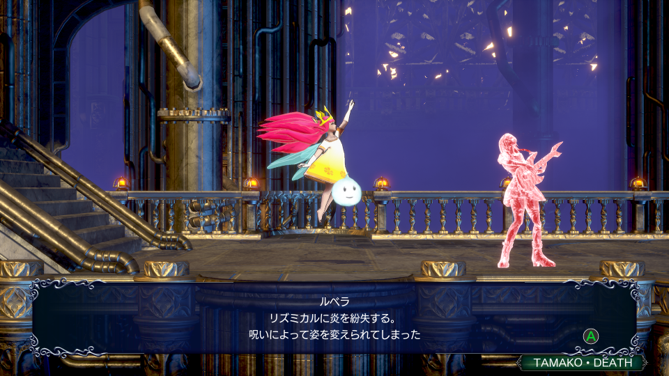 ルベラ画像